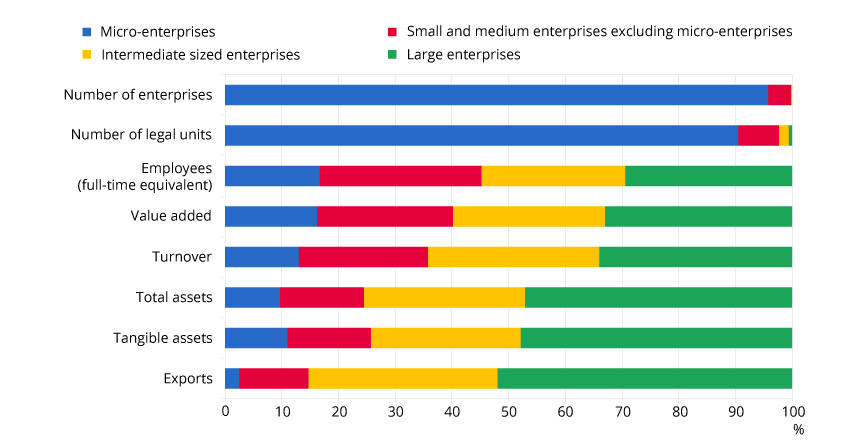 Illustration 2 - Breakdown of various aggregates by enterprise category in 2020